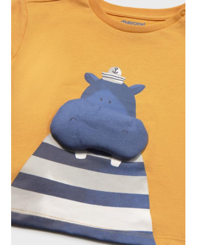 Camiseta aplicações