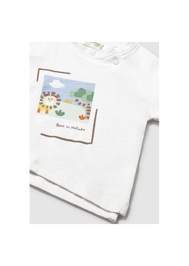 Pack 2 camisetas m/curta