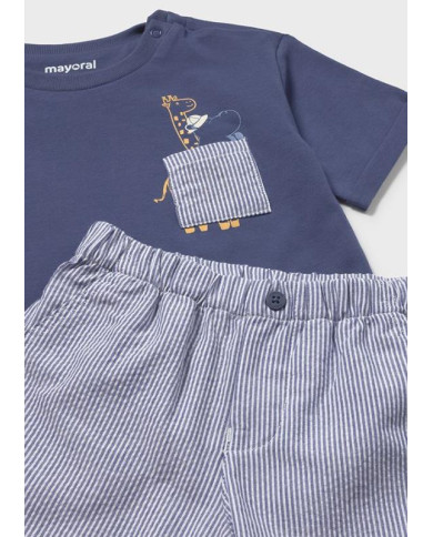 Cnj. bermuda seersucker