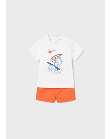 Conj. malha 2 peças