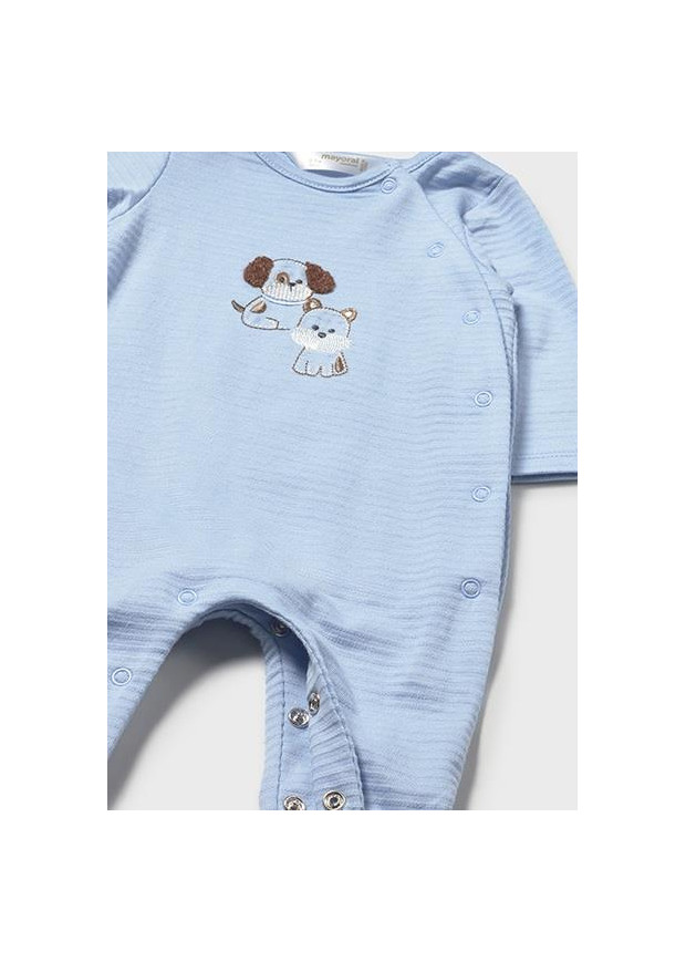 Set 2 conjuntos comp.