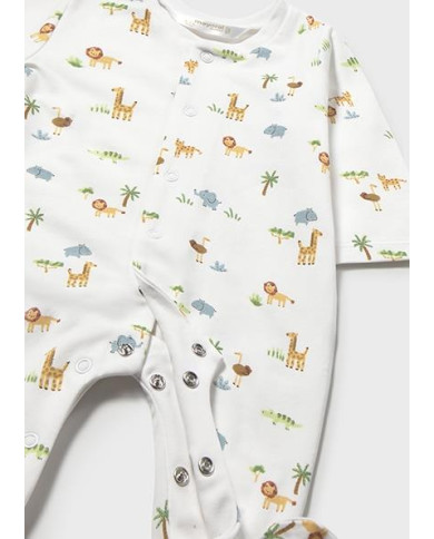 Set 2 conjuntos comp.