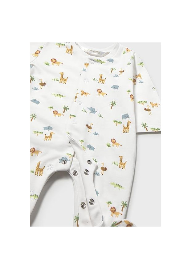 Set 2 conjuntos comp.