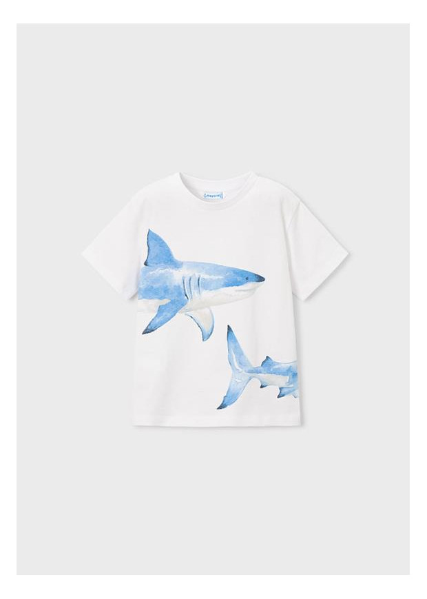 T´shirt possicionada