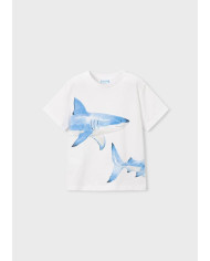 T´shirt possicionada