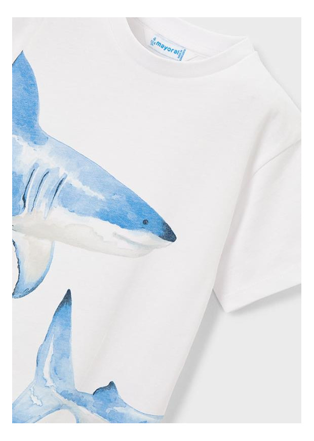 T´shirt possicionada