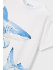 T´shirt possicionada