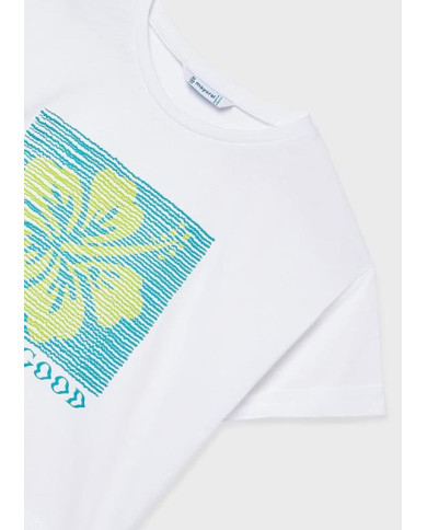 Camiseta m/cta gráfica