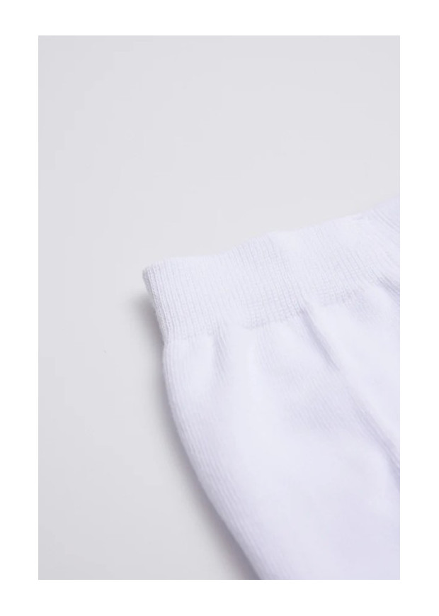 Meia Calça (Lisa) Ysabel Mora